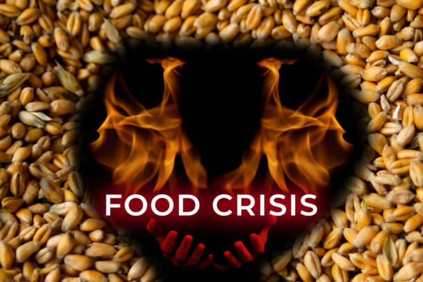 Food crisis. Global and European grain and wheat crisis, Ukraine. Exporters of grain. Devil with flame. Word design. Black background. Oats, barley, rye. Red hands. Evil Food crisis. Global and European grain and wheat crisis, Ukraine. Exporters of grain. Devil with flame. Word design. Black background. Oats, barley, rye. Red hands. Evil. exporters stock pictures, royalty-free photos & images