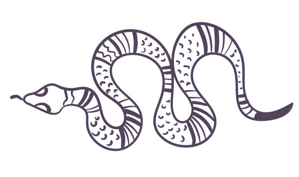 Boho style ornamental magical witchy spiritual snake line art design element. Vector flat graphic design illustration Boho style ornamental magical witchy spiritual snake line art design element. Vector flat graphic illustration simple snake tattoo drawings stock illustrations