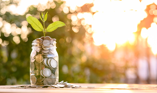 Growing Money, business finance and savings money invest , Balance savings and investment, Plant Growing In Savings Coins, Investment And Interest Concept