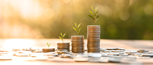 Growing Money, business finance and saving money investment , Money coin stack growing graph, plant growing up on coins. Balance savings and investment.
