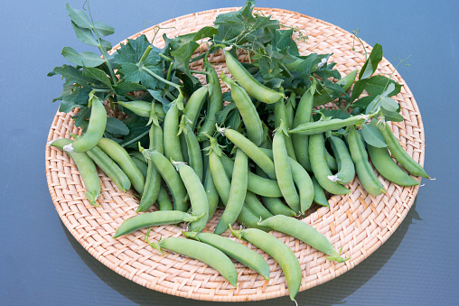 Stringless sugar pod peas, 8 cm deep green juicy and sweet pods which are good in salads.