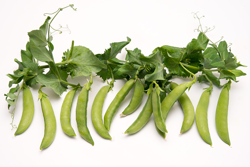 Stringless sugar pod peas, 8 cm deep green juicy and sweet pods which are good in salads.