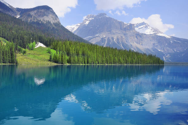 emerald lake at sunrise. yoho national park. - woods reflection famous place standing water imagens e fotografias de stock