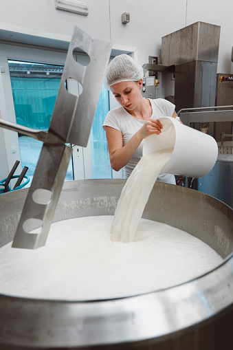 Woman worker pouring milk in a large industrial sized pot at the dairy factory.