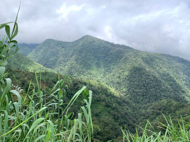 istock View of the mountain 1406609736