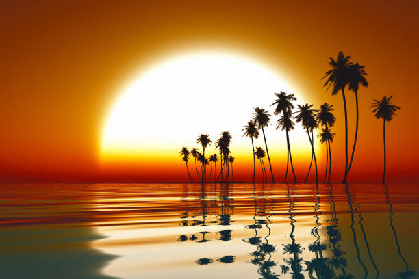 istock sunset over tropic sea 1406610201