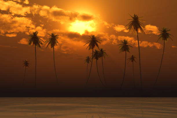 orange puesta de sol en las nubes - hawaii islands maui big island tropical climate fotografías e imágenes de stock