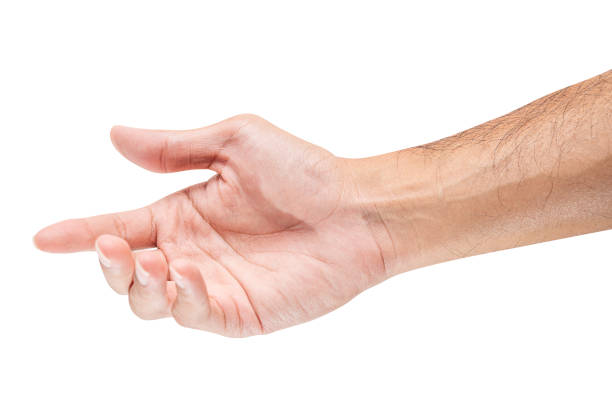 istock Male hand reach and ready to help or receive. Gesture isolated on white background. 1406618789