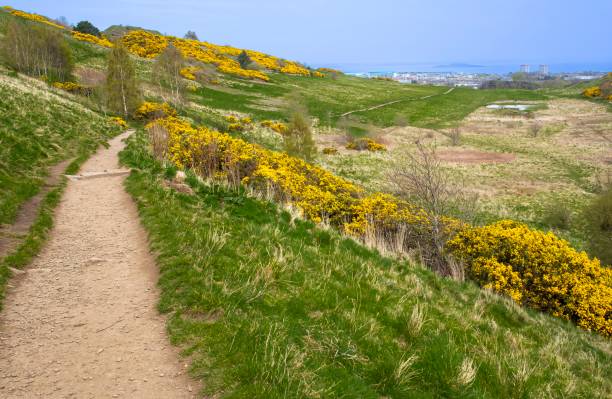 istock Edinburgh, Scotland -  hiking trail, Holyrood Park 1406619625