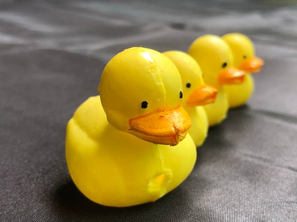 istock photo of toy ducks lined up 1406625630
