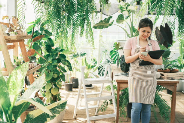 молодая женщина владелец магазина растений проверяет заказ клиента с сайта - farmer laptop selling internet стоковые фото и изображения