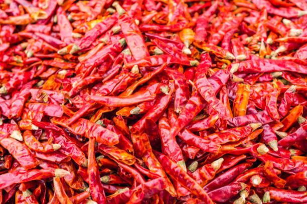 pimentão seco, tempero, comida picante, picante - red chili pepper - fotografias e filmes do acervo