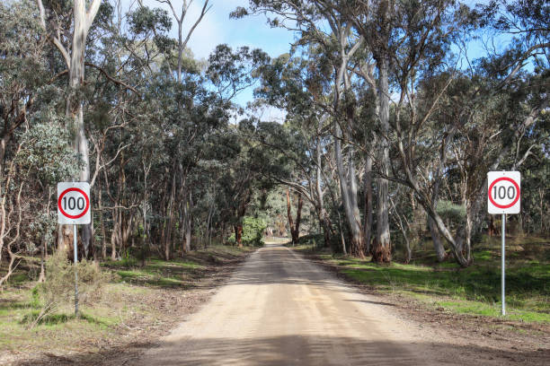 istock dirt road through bushland with speed signs 1406644180
