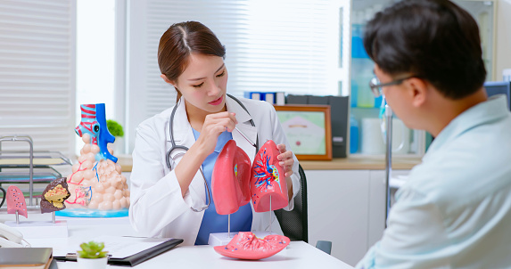 attractive young brunette ponytail female asian doctor wear white coat explaining lung model to male patient at clinic