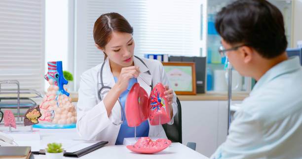 doctor explain lung model attractive young brunette ponytail female asian doctor wear white coat explaining lung model to male patient at clinic Adenovirus stock pictures, royalty-free photos & images