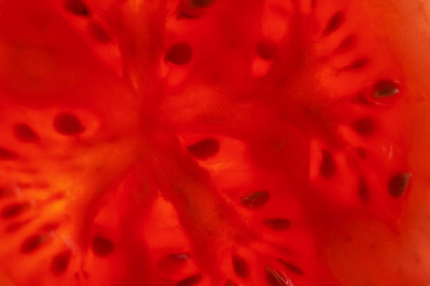 istock Macro photo of half cut tomato slice with seeds. 1406649258