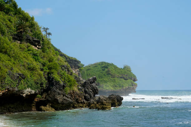 istock Coral Island in the beach 1406654291