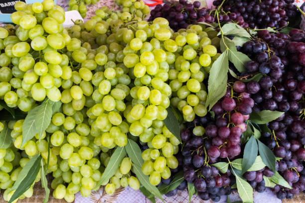 istock Freshly harvested bunch of grapes 1406655178