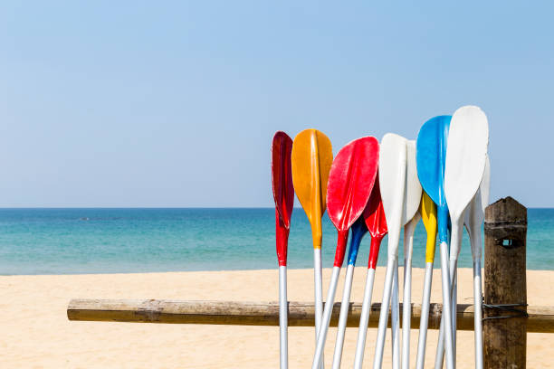 istock Colorful oars with beach background, water sport 1406655423