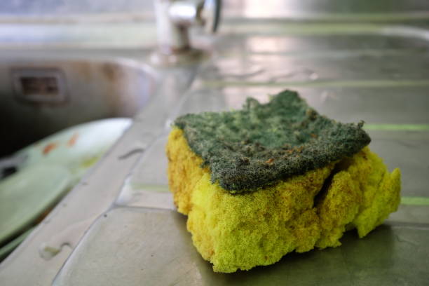 selective focus of a worn out, stinky, dirty and moldy kitchen sponge on a sink. - 洗碗刷 個照片及圖片檔