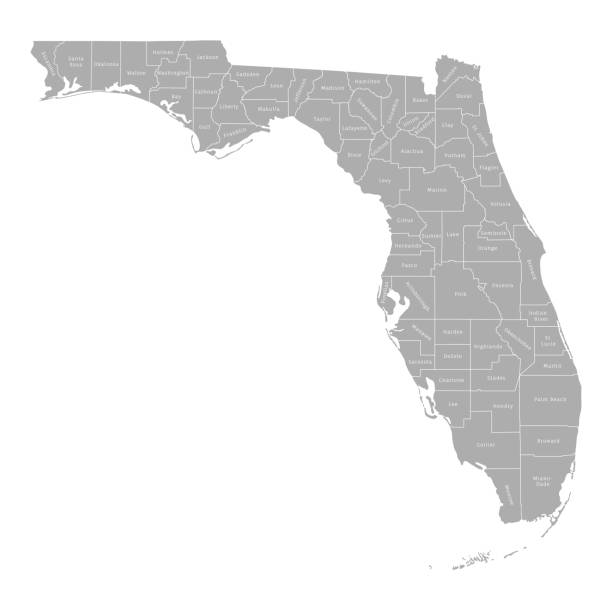 illustrazioni stock, clip art, cartoni animati e icone di tendenza di mappa grigia altamente dettagliata della florida, stato degli stati uniti - south