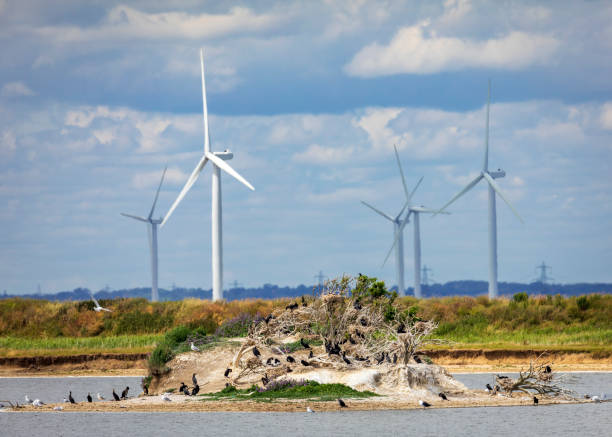 istock Little Cheyne Court Windfarm Romney Marsh 1406658918