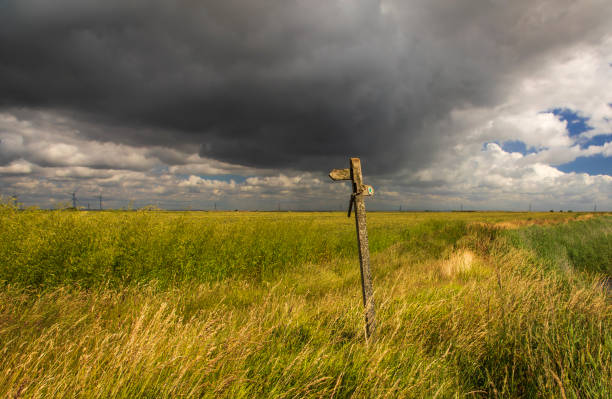 ロムニー マーシュ - romney marsh ストックフォトと画像