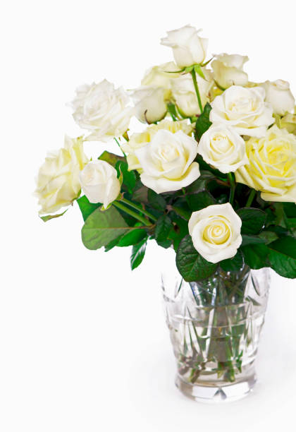 istock bouquet white Roses. white roses isolated on the white background 1406661978