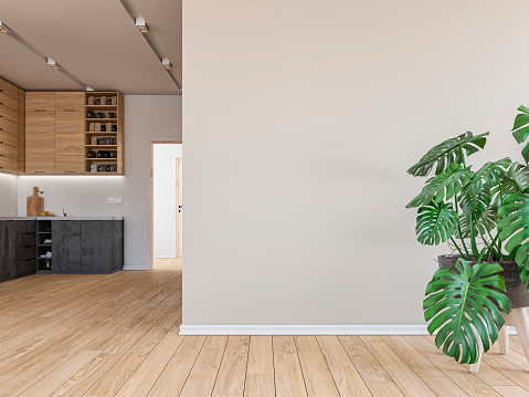 Empty living room with a potted plant monstera in front of a large beige plaster wall background and hardwood floor. A modern kitchen in the background with high wooden cabinets and anthracite lower kitchen cabinets on a white plaster wall.  A bright hallway with doors on the side of the kitchen led light reflectors on the ceiling. 3D rendered image.