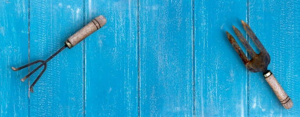 istock Hand fork and rake on blue plank wooden floor on background.  Hand Tools Home Gardening Tools Accessories. 1406665435