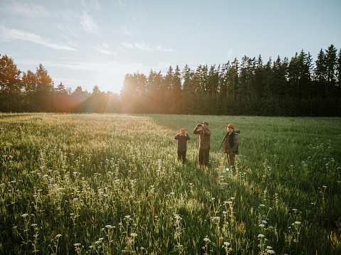 Drone view of father and two sons, hunting on a meadow. South of Estonia.
