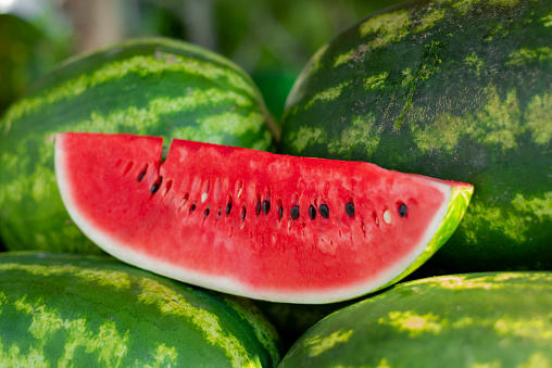 Fresh sweet watermelon on market stall as background. Ripe freshly picked water melons pile at farmers market