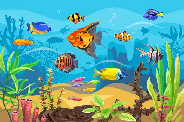 Vector illustration of Vector ocean world. Exotic seascape with fish, seaweeds and corals. Aquatic ecosystem.
