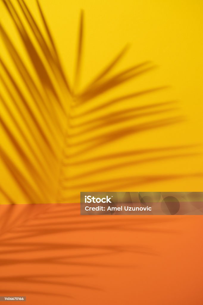 Bright yellow-orange summer background with palm leaf shadow. Empty product or copy space creative design. Abstract Stock Photo