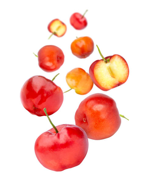 istock Acerola cherry with cut half sliced flying in the air isolated on white 1406670370