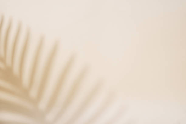 istock Shadow of palm leaf on pastel background 1406670733