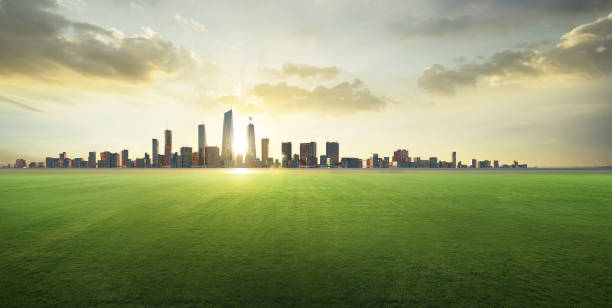 3d render grass field with city background - business malaysia bildbanksfoton och bilder