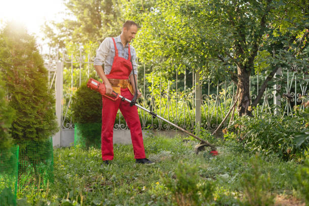 istock Mowing the grass with a lawn mower. Garden work concept background. 1406676112