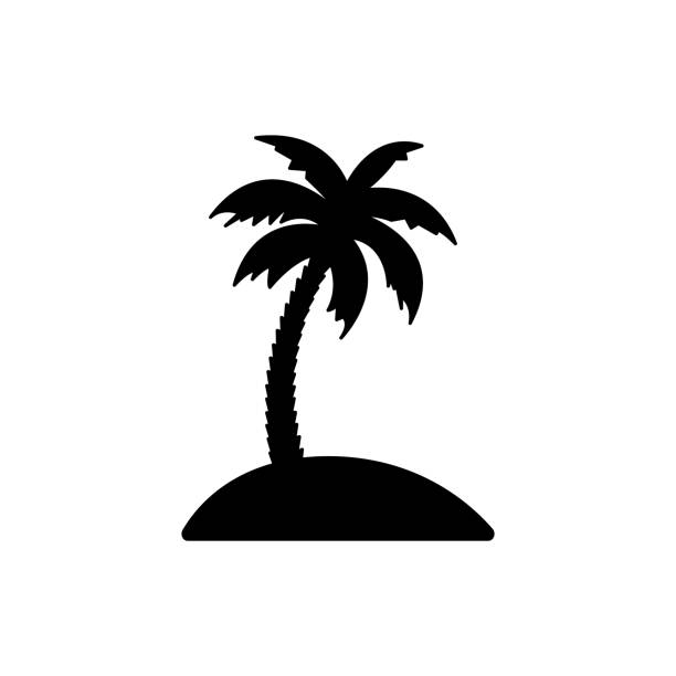 ilustrações, clipart, desenhos animados e ícones de palm tree exótico em island beach black silhouette ícone. folha de coco tropical no pictograma glifo do mar do havaí. summer tropic palmetto plant flat symbol. placa de palmeira. ilustração de vetor isolado - tropical climate white background palm tree leaf