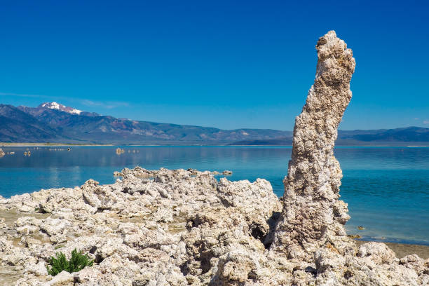 geological formations in mono lake, saline soda lake in mono county, california, usa. beautiful sunny day of summer. south tufa area. - mono county imagens e fotografias de stock