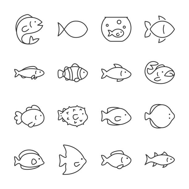illustrazioni stock, clip art, cartoni animati e icone di tendenza di set di icone dei pesci. icona del pesce. linea con tratto modificabile - passera