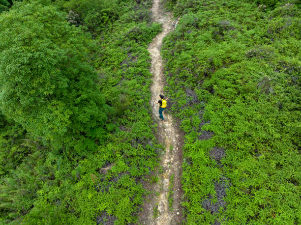 istock Woman backpacker hiking in summer forest mountain 1406683766