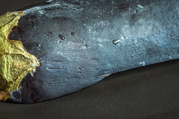 Frozen aubergine eggplant closeup view