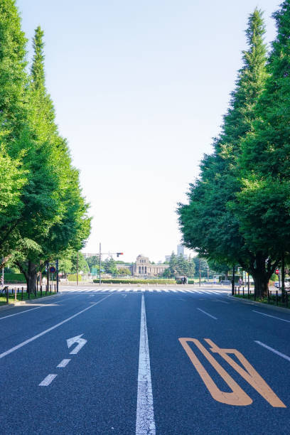 istock Fresh green Jingu Gaien Ginkgo trees (Minato-ku,Tokyo,Shinjuku-ku) 1406686838