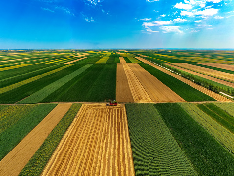 Harvesting In Agriculture Crop Field. Aerial point of view.  Drone photography
