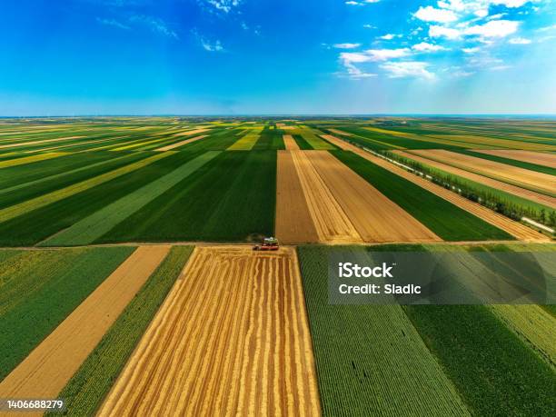 Harvesting Combine Stock Photo - Download Image Now - Agriculture, Agricultural Field, Farm