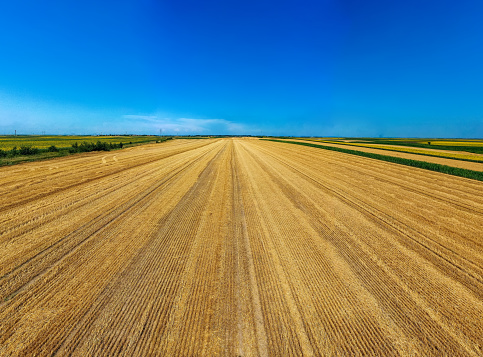 Top down drone view of a recently harvested wheat field