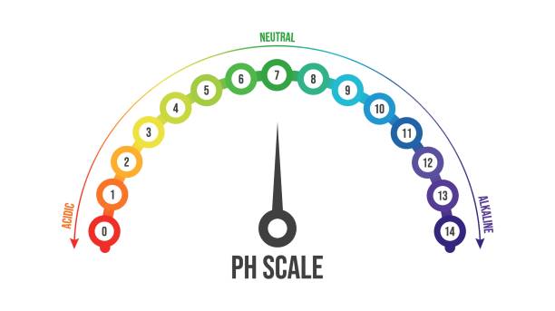 vektordarstellung der ph-skala isoliert auf weißem hintergrund. farb-ph-wert-skala diagramm meter infografik. lackmus-papierindikator für saur-alkalische lösung. - medical research healthy lifestyle paper healthcare and medicine stock-grafiken, -clipart, -cartoons und -symbole