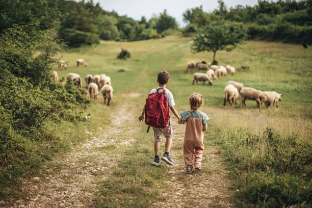 Photo of Schoolboy with little sister