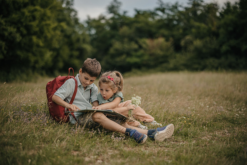 Schoolboy and his little sister sitting on a meadow together in nature. They are reading a book and having fun.